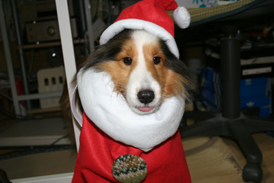 chrismas85