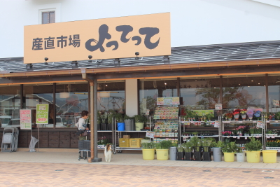 kudo201400.JPG