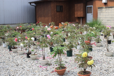 kudo201408.JPG