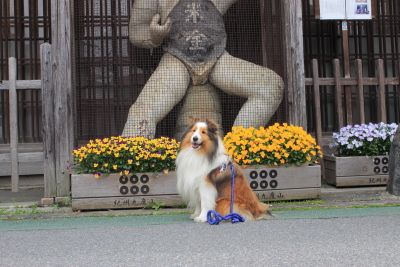 kudo201411.JPG