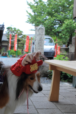 kudo201432.JPG