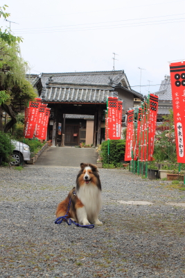 kudo201435.JPG