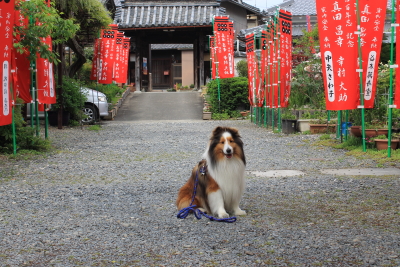 kudo2014034.JPG