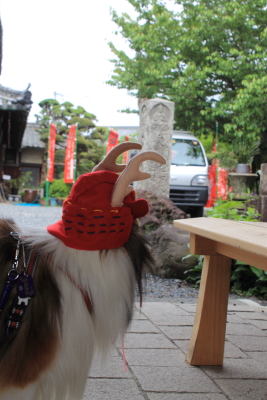 kudo20140333.JPG