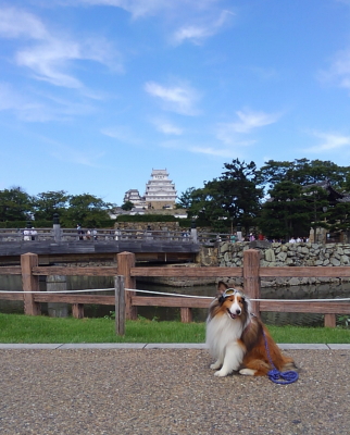 himeji08.JPG