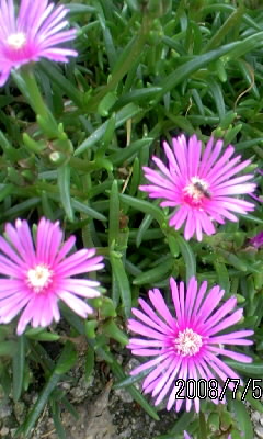 080705_143948.JPG