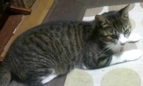2012091720440000.jpg