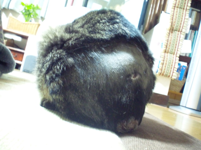 130529_215047.jpg