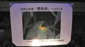 ホタルの里那知合へようこそ