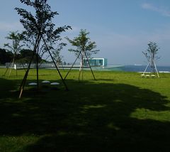 YMA05