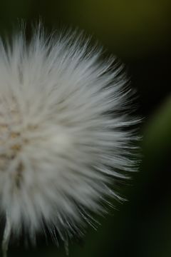 watage