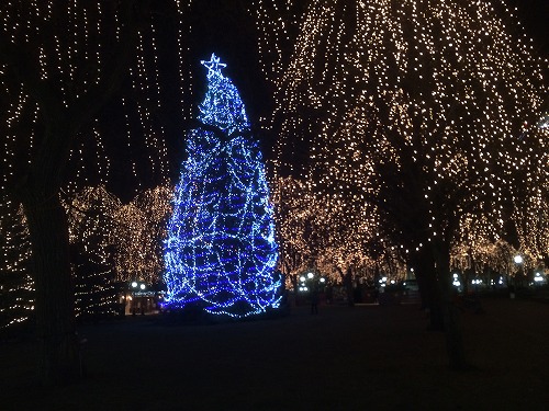 画像 3416.jpg