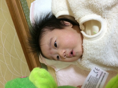 画像 4309.jpg