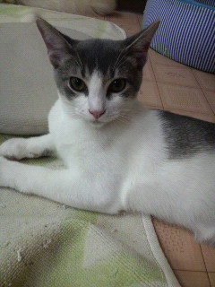 2011090718430000.jpg
