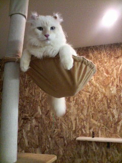 2011090719260000.jpg
