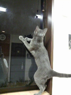 2011090718280000.jpg