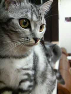 2011090718310000.jpg