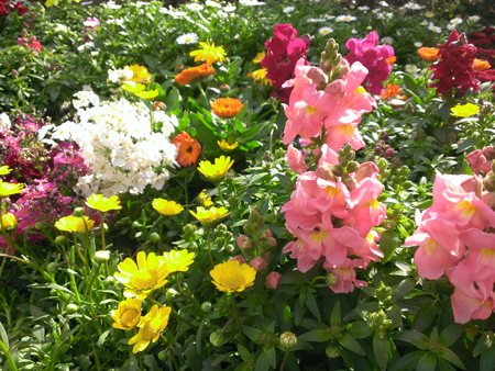 せせらぎの里公苑の花壇