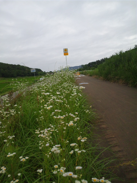 180617_063952.jpg