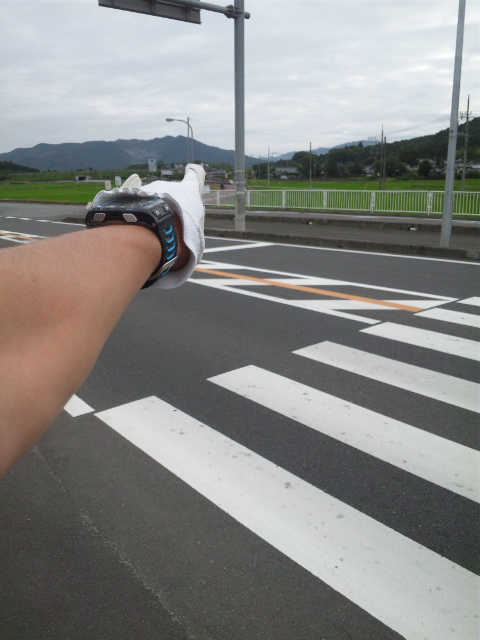 180617_064801.jpg