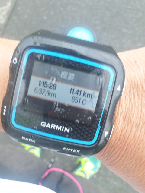 20180915_2275728.jpg