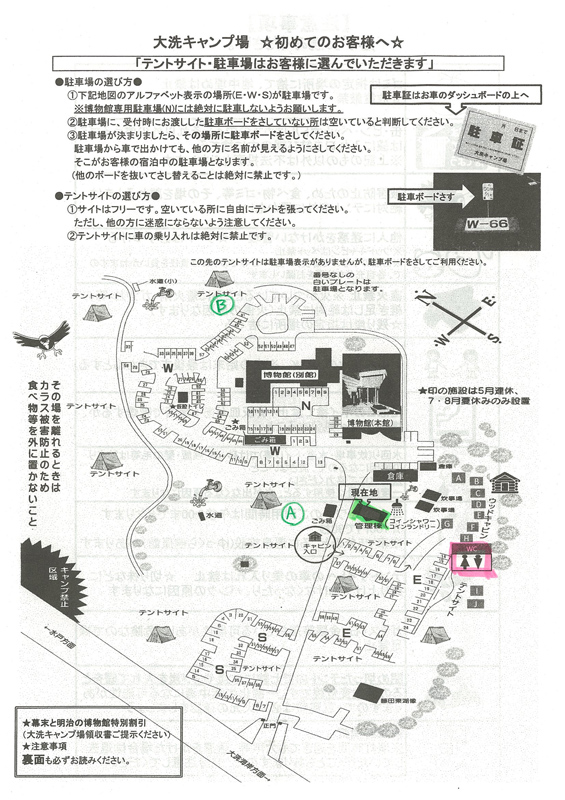 キャンプ 場 大洗