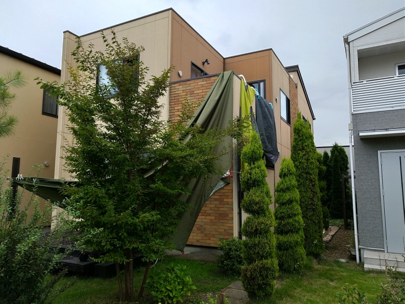 20200727_2749454.jpg