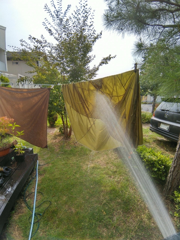 20200810_2758333.jpg