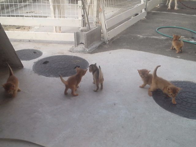 mini_120906_1535.jpg