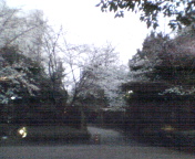 ºù