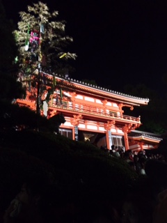 image1.JPG