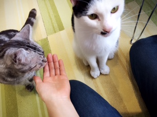 image1.JPG