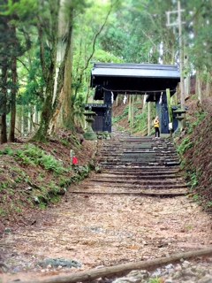 image1.JPG
