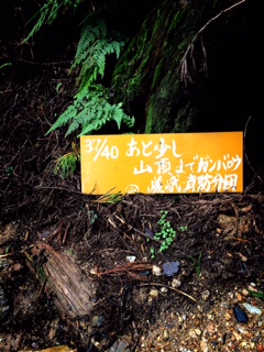 image2.JPG