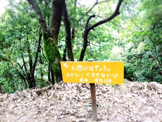 image1.JPG