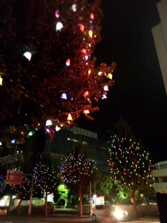 image1.JPG