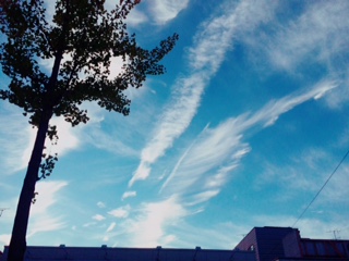 image1.JPG