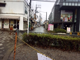 image1.JPG