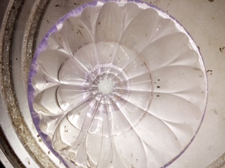 image1.JPG