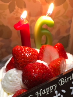 image1.jpeg