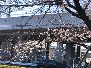 20190404_2839996.jpg