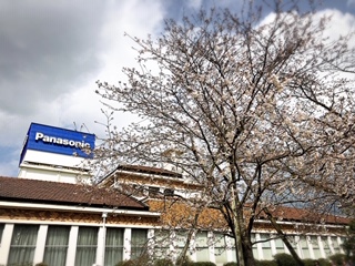 20190404_2839998.jpg