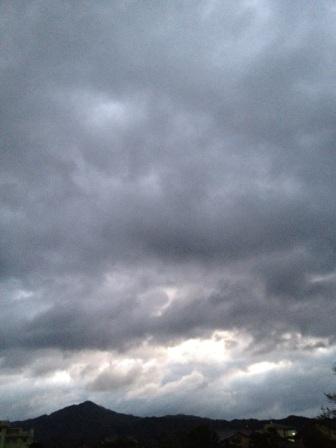 IMG_8753.jpg