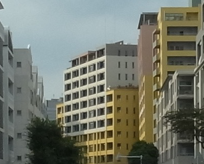 grd4