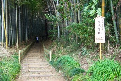 ひよどり坂の看板