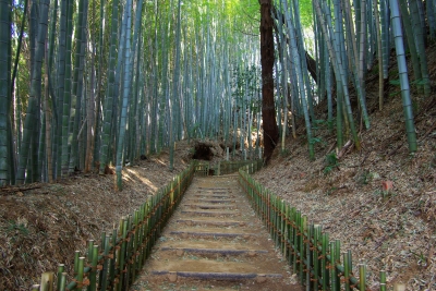 竹柵が続いています