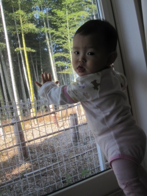 窓につかまり立ち