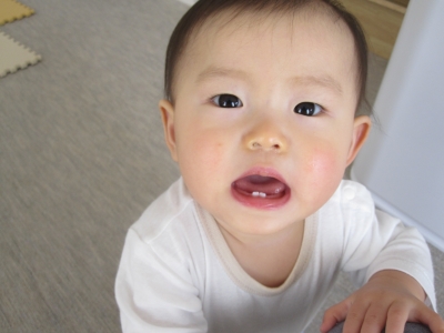 歯