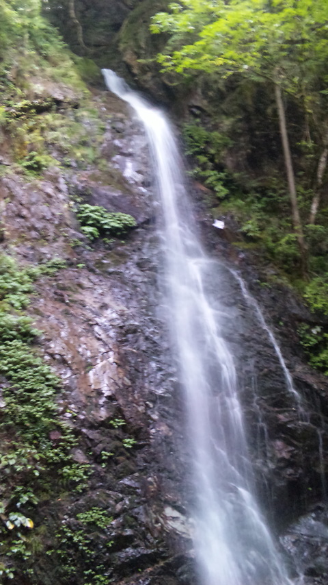 100815_174230.jpg