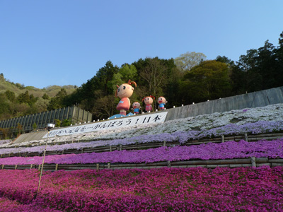 芝桜とちょうちん造形